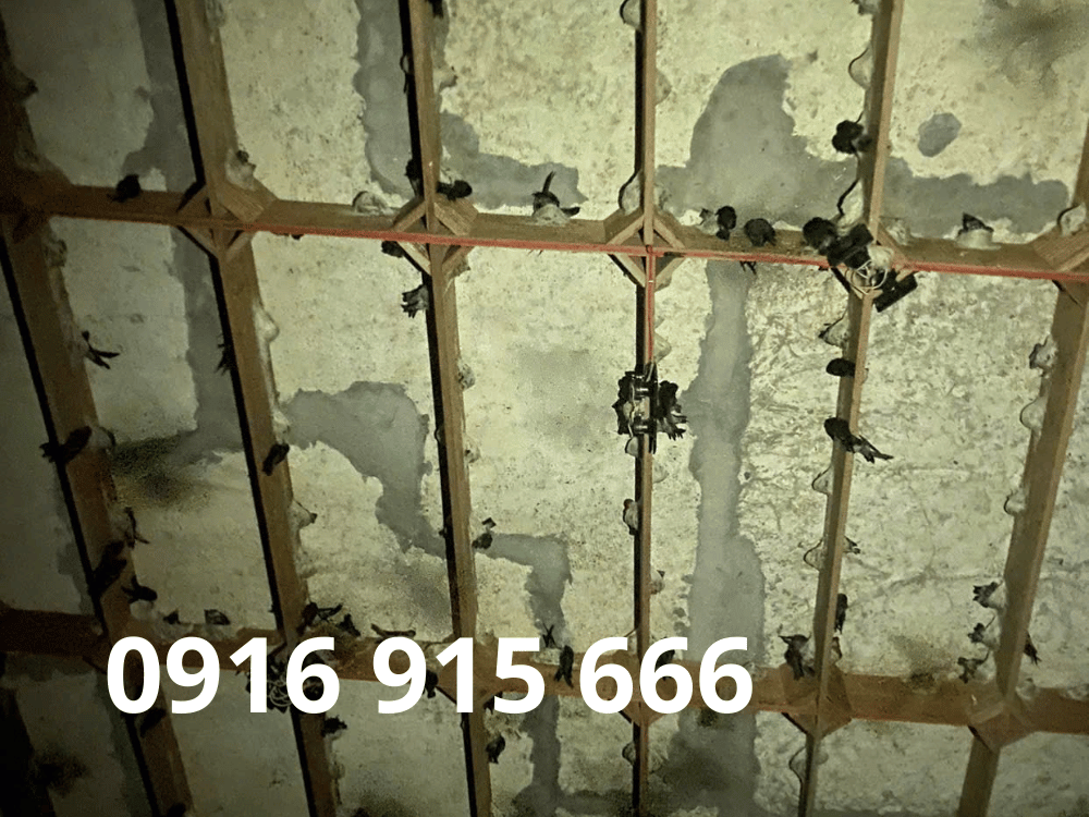 Thảm cỏ nhân tạo