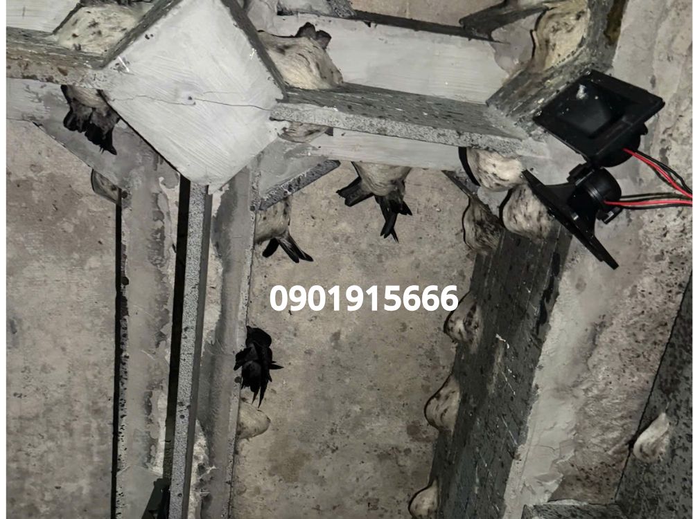 Nguyên nhân khiến nhà yến hoạt động kém hiệu quả