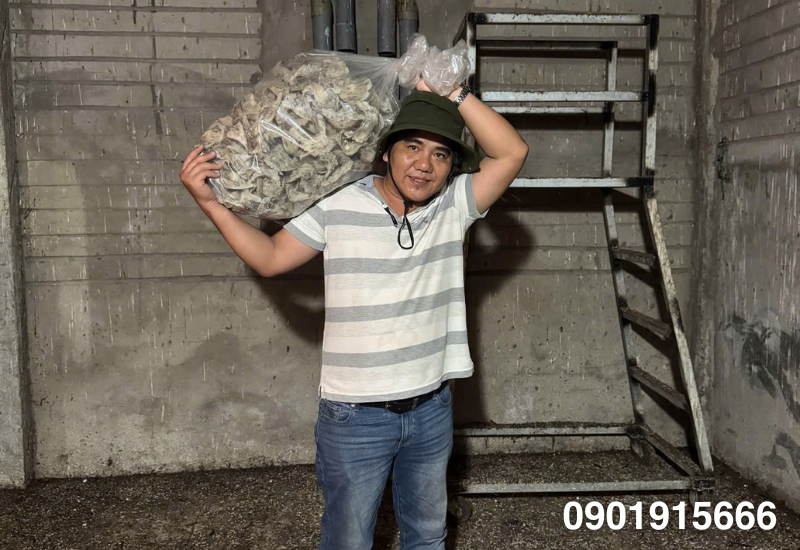 Hệ thống điều chỉnh độ ẩm và nhiệt độ