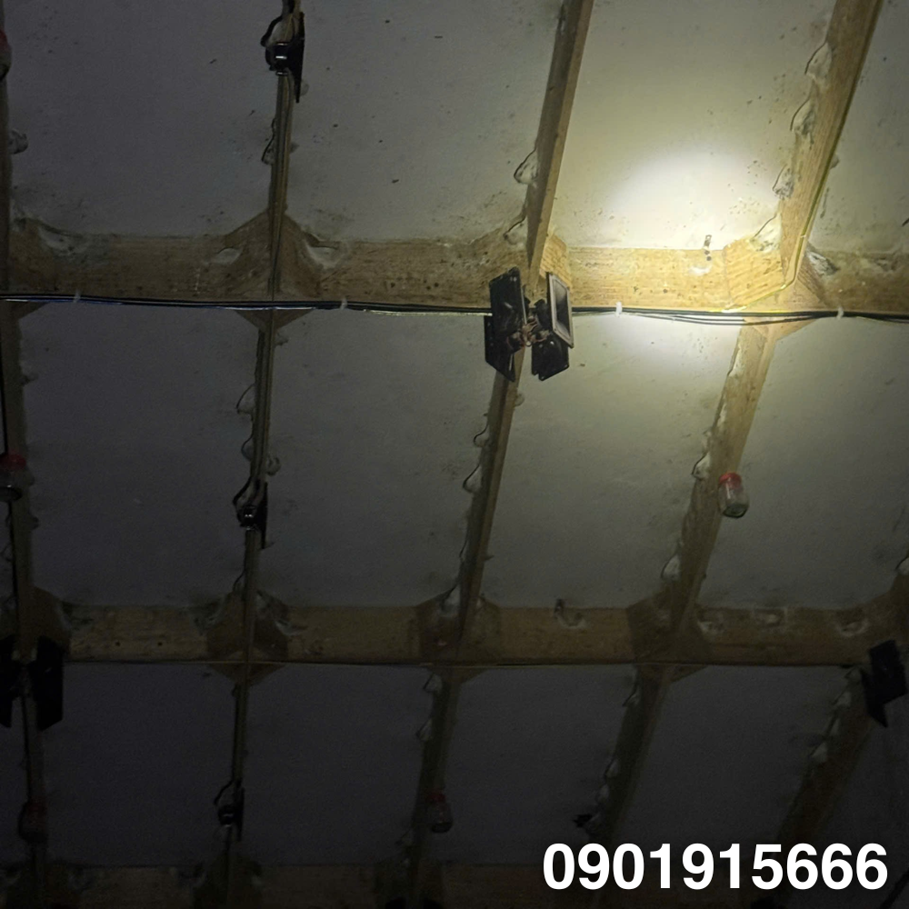 Tìm Hiểu Vai Trò Của Thành Làm Tổ Trong Nhà Yến