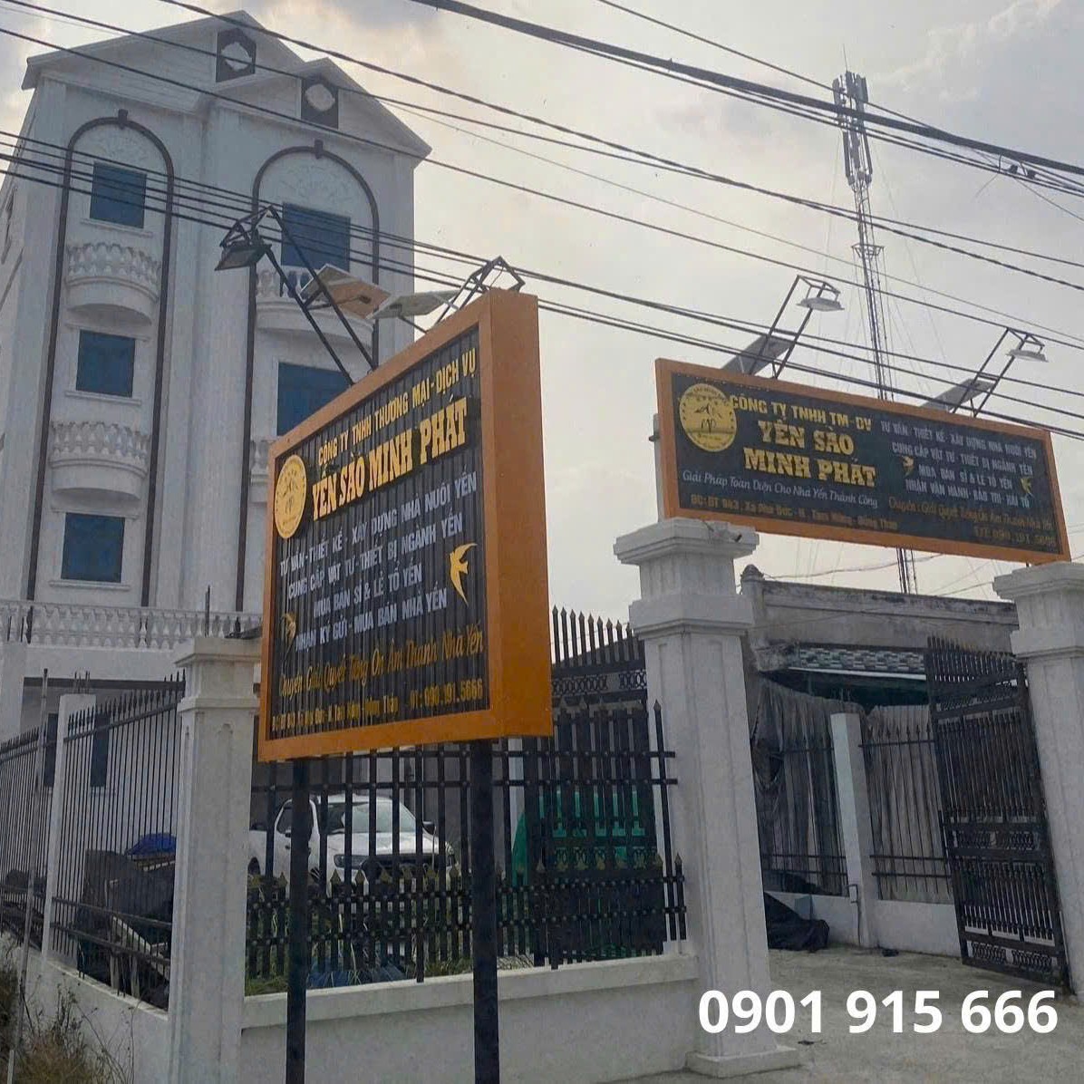 Khi Nào Nên Thu Hoạch Tổ Yến Để Không Ảnh Hưởng Đến Sinh Sản?