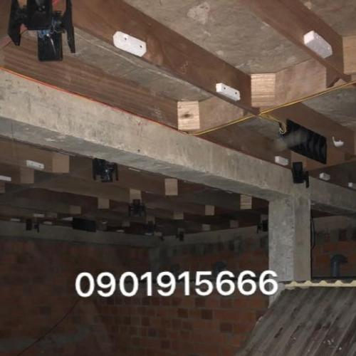 Những Yếu Tố Cản Trở Chim Yến Trở Về Nhà Mới Mà Bạn Cần Biết