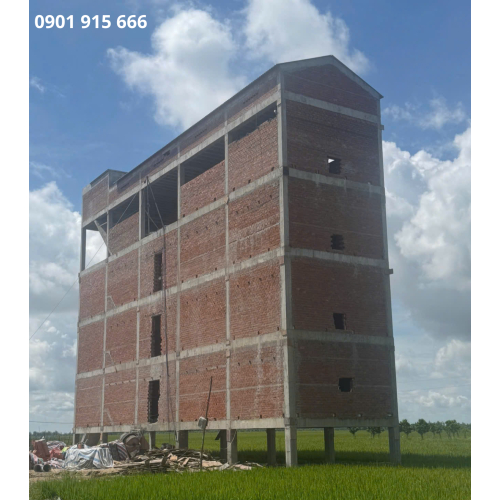 Tăng cường sức đề kháng, nâng cao hệ miễn dịch