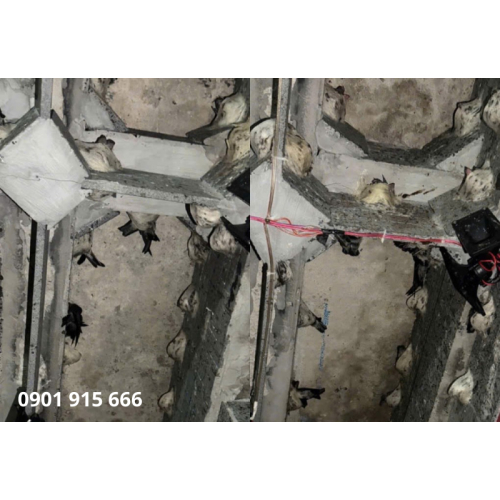 Gói 1: Nhận xây dựng và lắp đặt thiết bị trọn gói