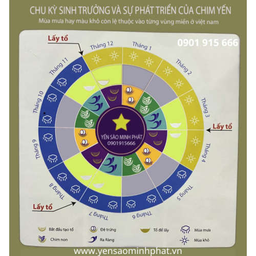 Gói 1: Nhận xây dựng và lắp đặt thiết bị trọn gói