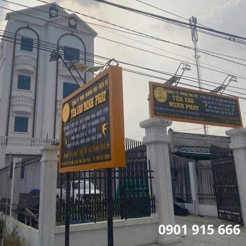 Khi Nào Nên Thu Hoạch Tổ Yến Để Không Ảnh Hưởng Đến Sinh Sản?