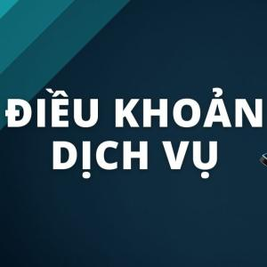 Điều Khoản Dịch Vụ