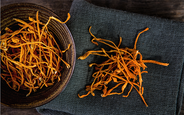 Cách sử dụng hiệu quả