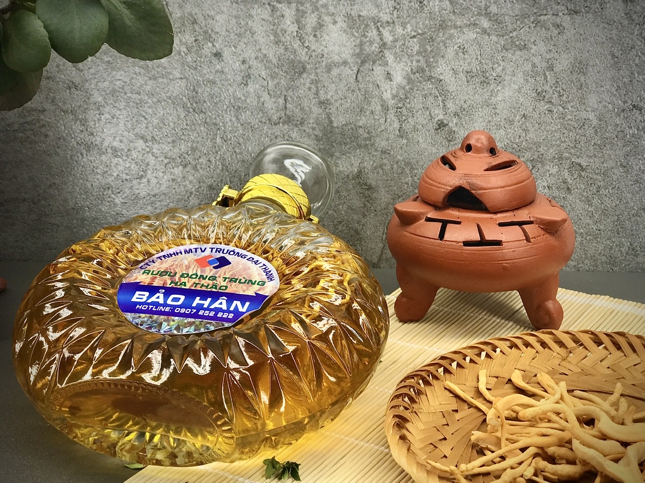 Công dụng nổi bật