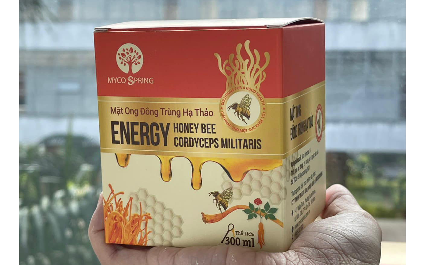 Mật ong đông trùng hạ thảo là gì?