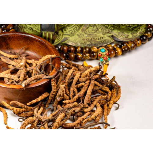 Đông Trùng Hạ Thảo Và Hệ Miễn Dịch: Giải Pháp Tự Nhiên Cho Sức Khỏe Bền Vững