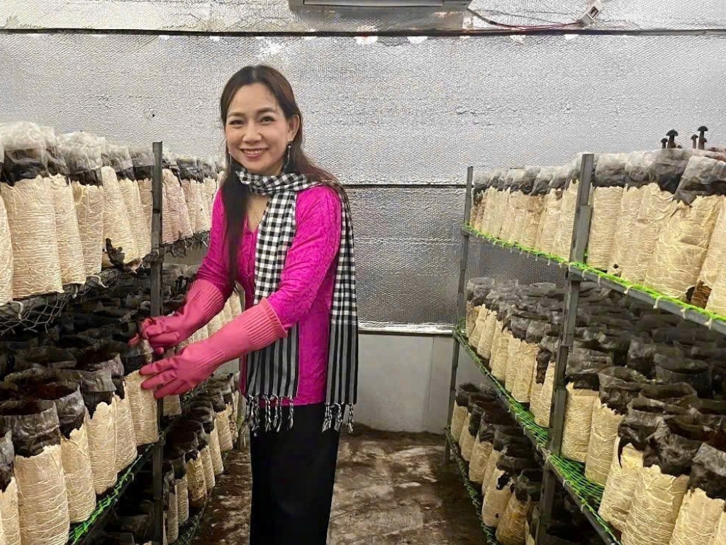 3. Ứng dụng công nghệ và kỹ thuật hiện đại: