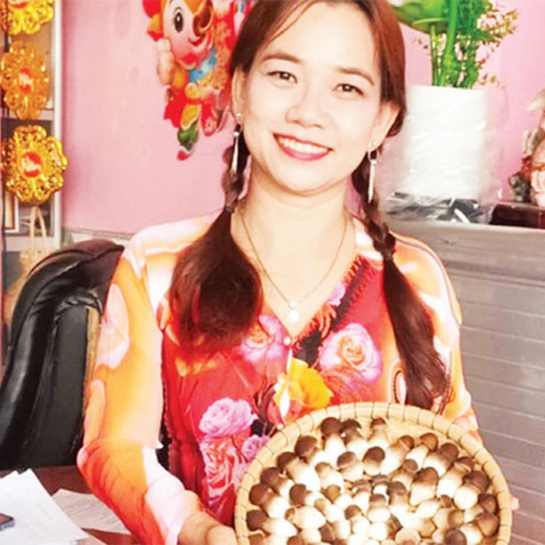 Nấm Mối Nàng Nương Tỉnh An Giang