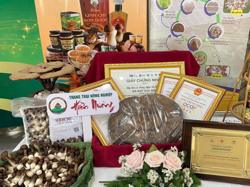 4. Đa dạng sản phẩm từ Nấm: