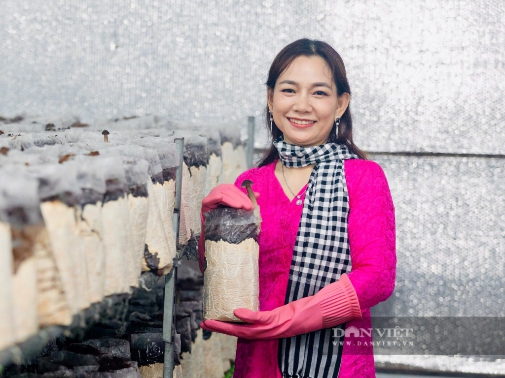 Từ nỗi trăn trở của cựu giáo viên về sức khỏe