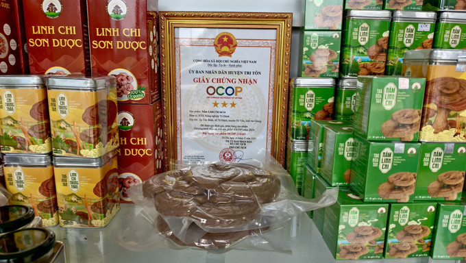 Các sản phẩm chế biến từ nấm