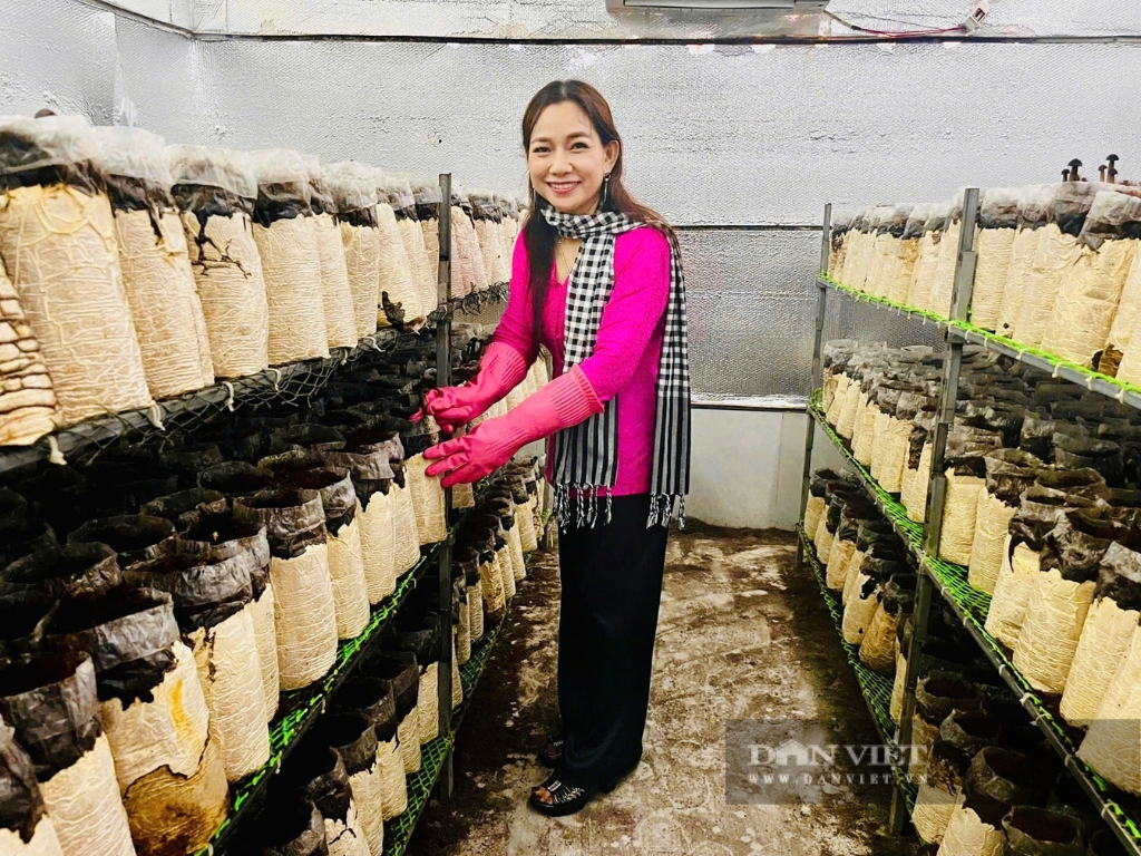 Đam Mê và Quyết Tâm: Công thức thành công cho trang trại nấm sạch tiền tỷ