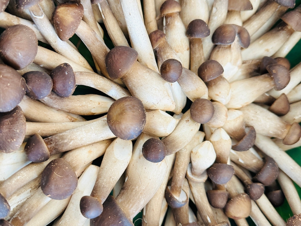 Chị Nương chia sẻ: