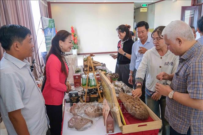 Hướng tới nền nông nghiệp "NetZero"