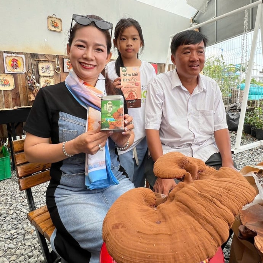 Nấm Mối Nàng Nương: Mô Hình Nông Nghiệp Bền Vững Gắn Kết Cộng Đồng