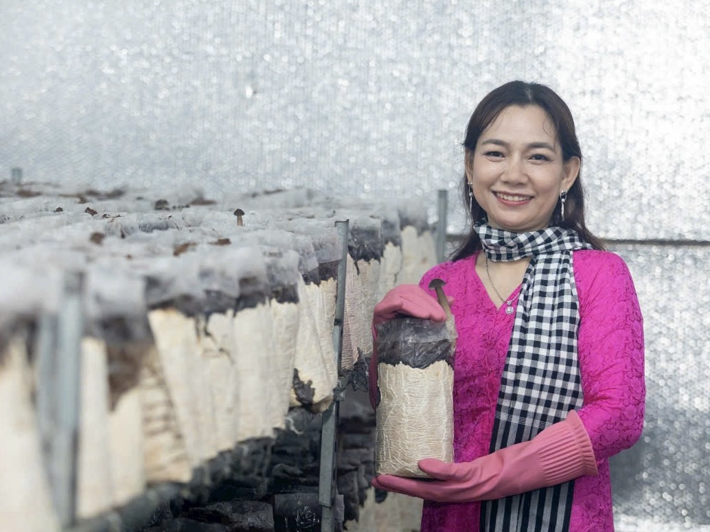 2. Ứng Dụng Mô Hình Tuần Hoàn Trong Trồng Nấm Mối Tại Hiền Nương Farm