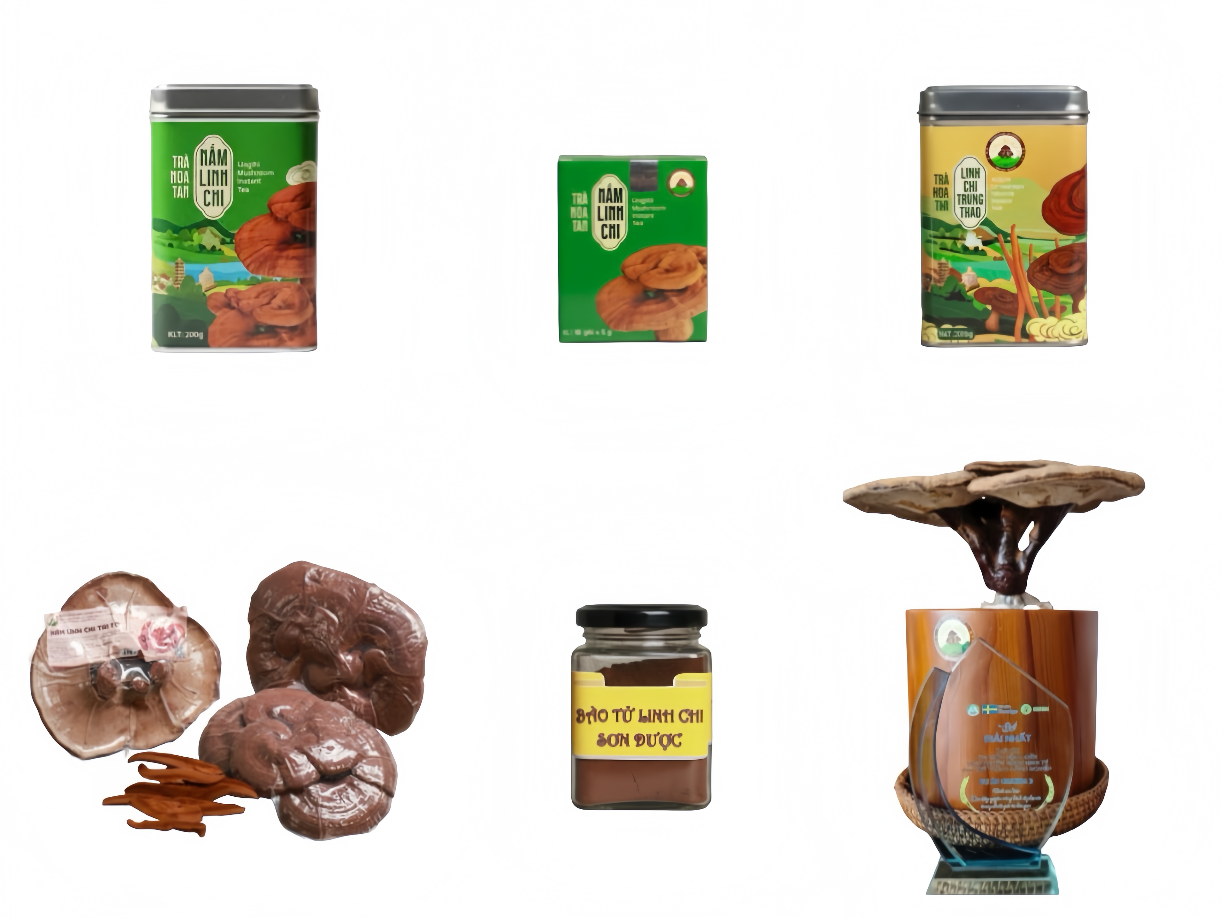 Các sản phẩm từ linh chi tai to mà ai cũng nên trải nghiệm