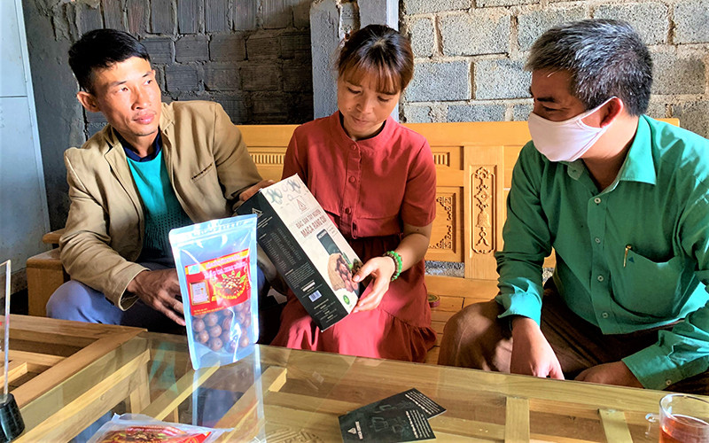 Đắk Lắk Lan Tỏa Tinh Thần Khởi Nghiệp – Từ Chính Sách Hỗ Trợ Đến Những Câu Chuyện Truyền Cảm Hứng