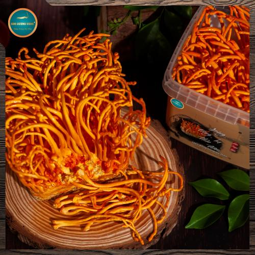 4. Các trường khuyên dùng đông trùng hạ thảo