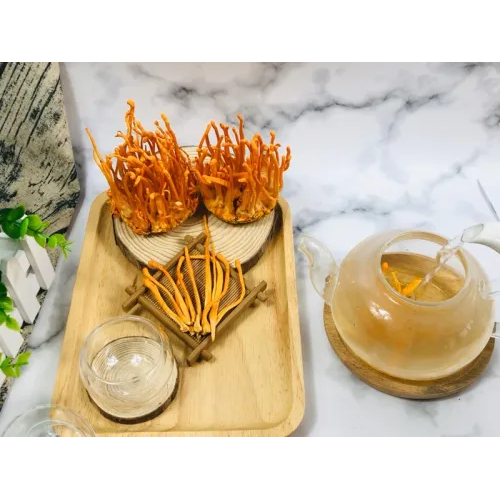 3. Cách sử dụng đông trùng hạ thảo sấy thăng hoa