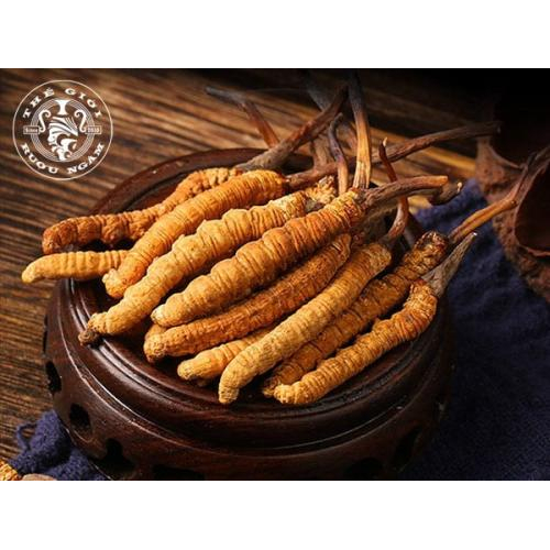 4. Quy trình chế biến