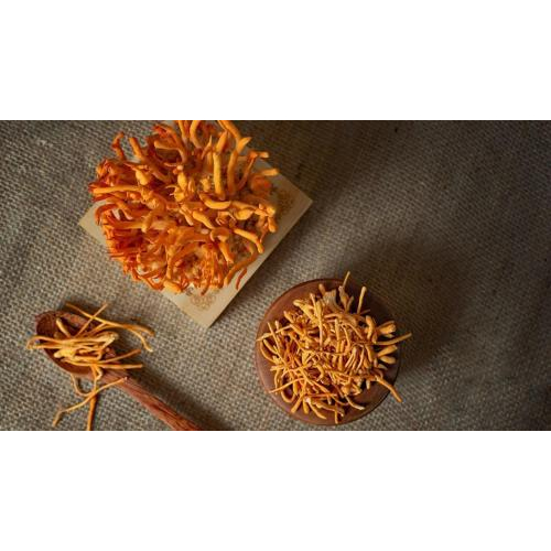 6. Lưu ý khi sử dụng