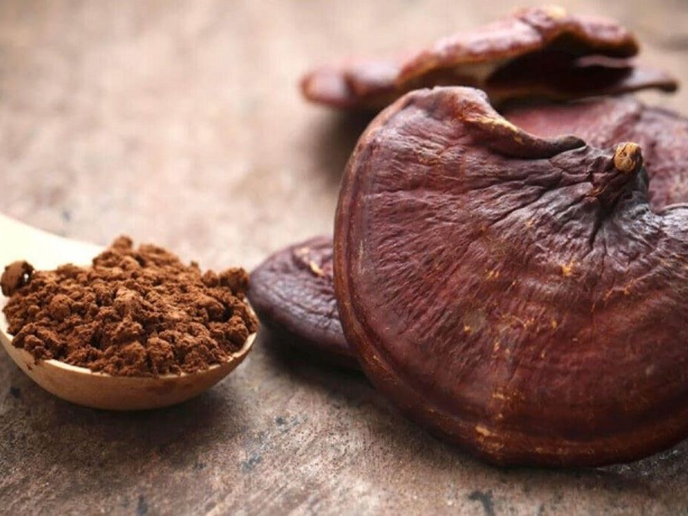 Uống nấm linh chi thế nào là đúng cách