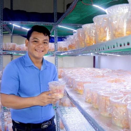 Bước Đi Đột Phá Trong Chuỗi Giá Trị Nấm Của HTX Giọt Phù Sa