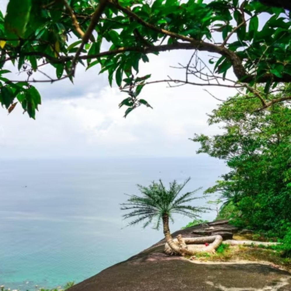 Vẻ Đẹp Cụ Thiên Tuế Ở Hòn Sơn