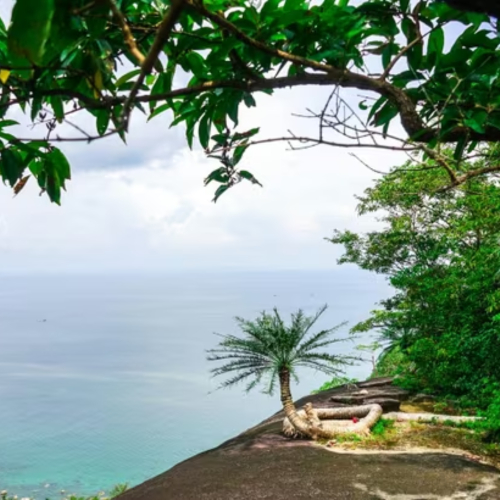 Vẻ Đẹp Cụ Thiên Tuế Ở Hòn Sơn