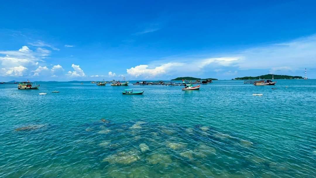 Giới thiệu chung