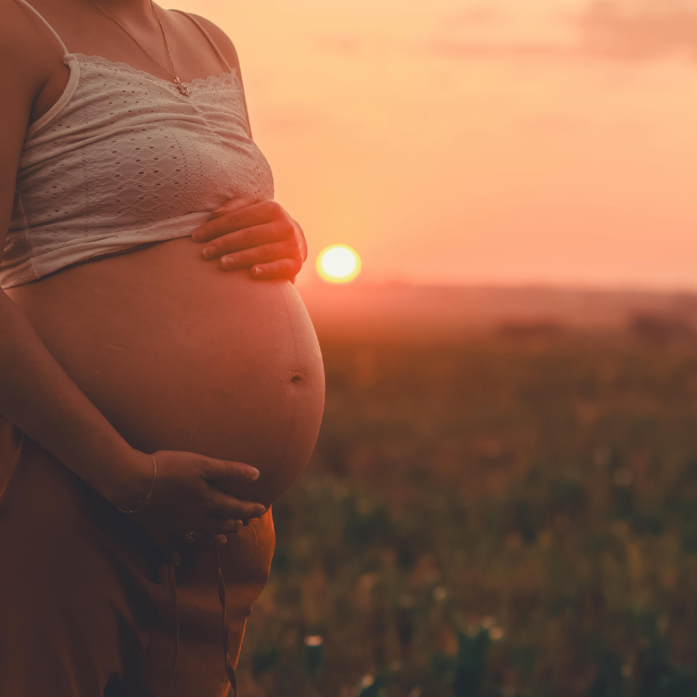 10 Lời Khuyên Giúp Bà Bầu Có Chuyến Du Lịch an Toàn