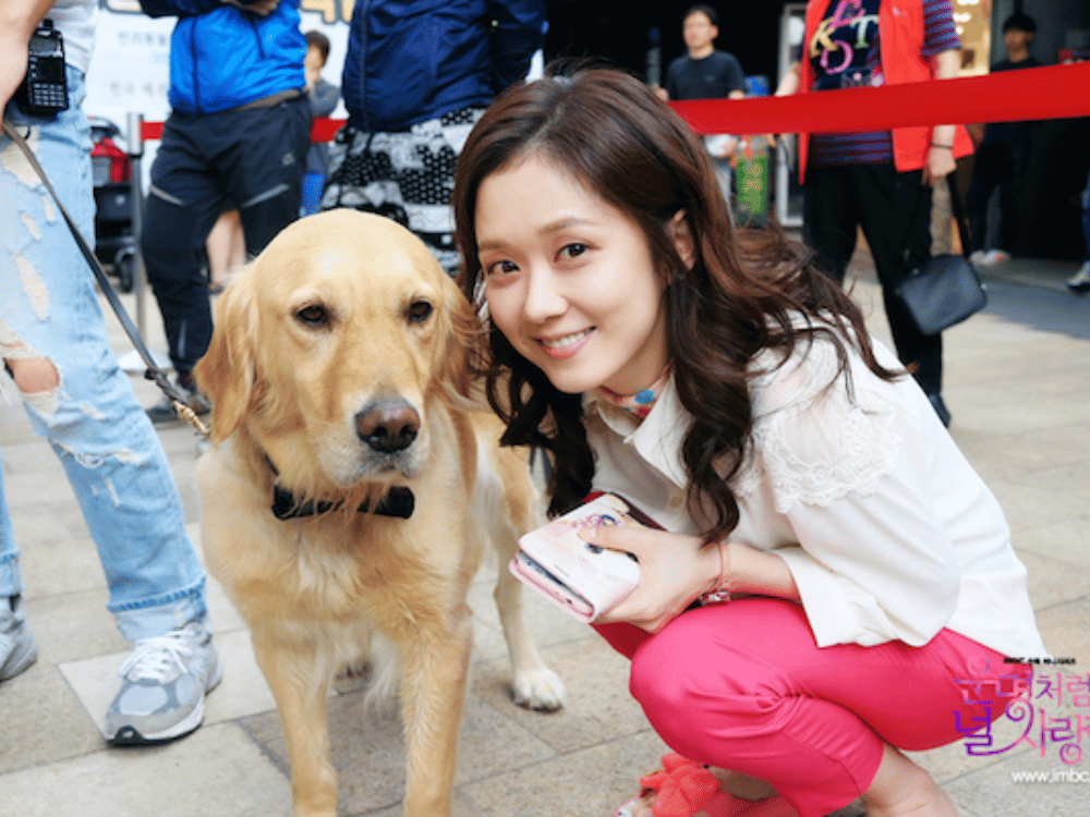 Ngày càng ít người ăn thịt chó