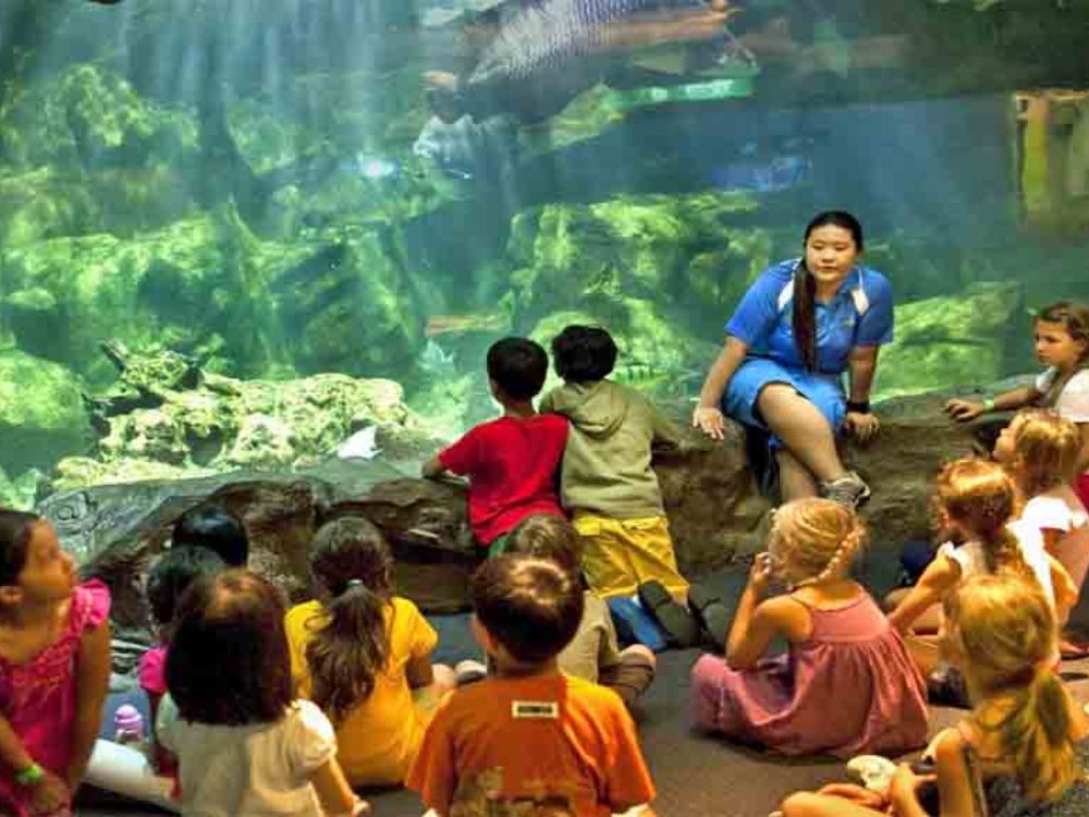 10. Những điểm đến vui chơi giải trí hàng đầu cho các gia đình