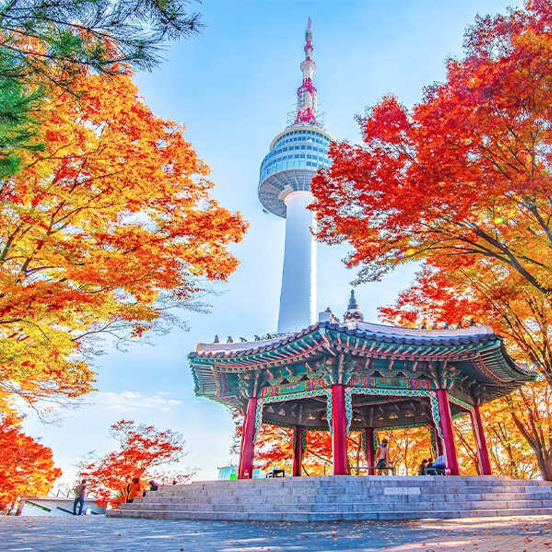 9 Điều Cần Lưu ý Khi Đi Du Lịch Nước Ngoài