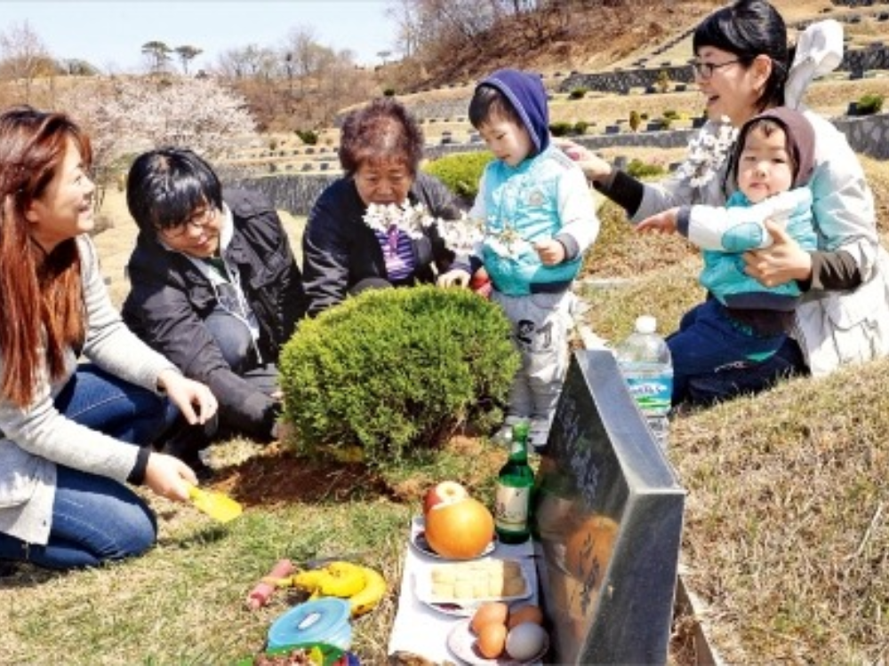 Beolcho (Bách Thảo) & Seongmyo (Tảo mộ)