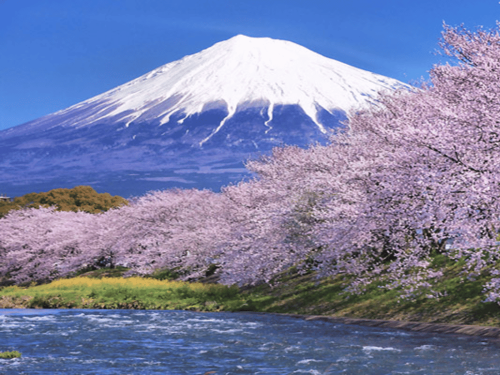 Xin visa vào Nhật Bản