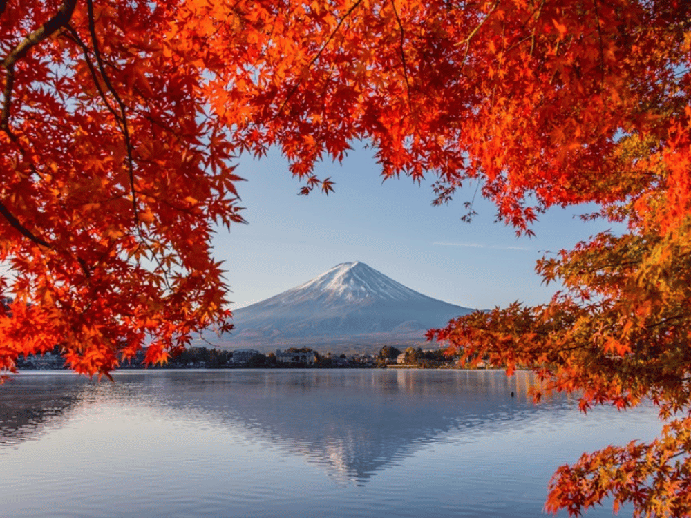 Hoàng Cung Nhật Bản với khung cảnh hữu tình