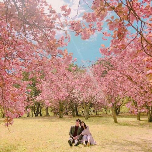 Sức Cuốn Hút Của 4 Mùa Ở Hàn Quốc