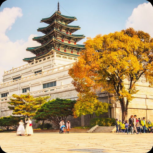 5 Lời Khuyên Hữu Ích Cho Người Đi Du Lịch Hàn Quốc Lần Đầu