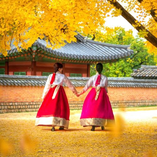 Chu Du Mùa Thu Hàn Quốc Đi 1 Lần Thương Nhớ Cả Đời