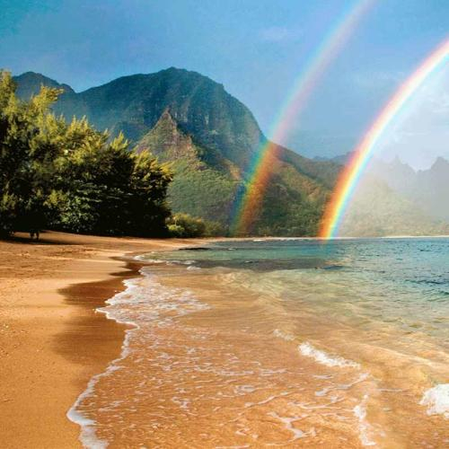 Du Lịch Hawaii Và Những Điều Cần Biết