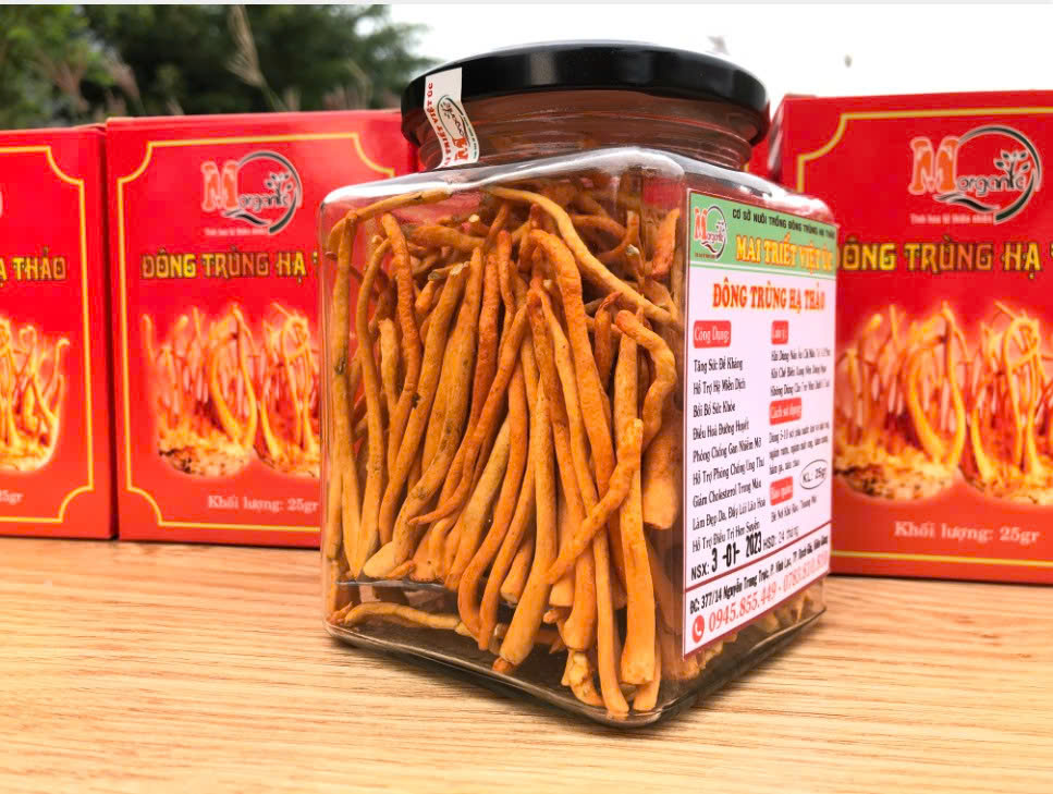 Đông trùng hạ thảo khô là gì?