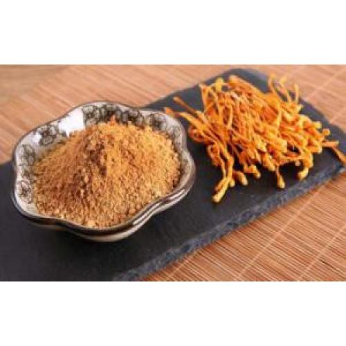 Hình Dạng Nấm Đông Trùng Hạ Thảo