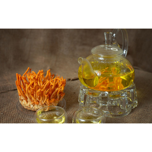 Cách dùng đông trùng hạ thảo